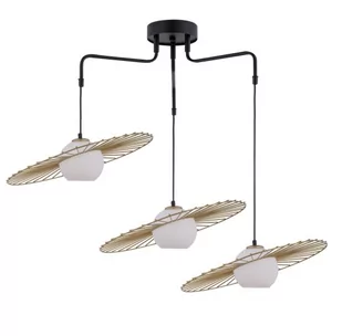 Sigma Lampa wisząca druciana czarno złota Sol 3 punktowa szklane kule 32180 - 32180 - Lampy sufitowe - miniaturka - grafika 1
