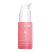 Serum do twarzy - Caudalie VinoHydra Hyaluronic, serum do twarzy, 30 ml - miniaturka - grafika 1
