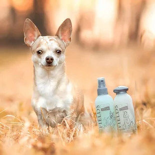 Greenfields Zestaw do pielęgnacji psów: szampon i spray, 2x250 ml - Szampony dla kotów - miniaturka - grafika 1
