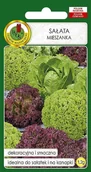 Nasiona i cebule - Sałata mieszanka odmian 1.2 g PNOS - miniaturka - grafika 1
