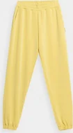 Spodnie sportowe damskie - 4f Spodnie damskie 4F F147 jasny żółty 4FSS23TTROF147 73S L - miniaturka - grafika 1