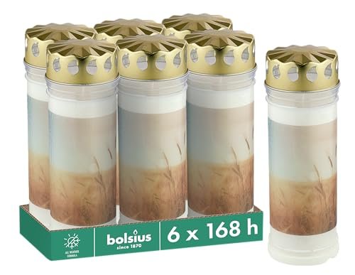Bolsius Znicz – biały – 6 sztuk – 7,5 x 20 cm – długość czasu palenia – świeca żałobna i miejsce pamięci – świece ciągłe – z motywem – pola – bezzapachowe – bez oleju palmowego – nr 7
