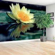 Fototapety - Fototapeta Kwiat lotosu - miniaturka - grafika 1