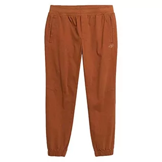 Spodnie męskie - 4F Spodnie męskie, Brązowy, S - grafika 1
