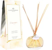 Zapachy do domu - PLANTES&PARFUMS PROVENCE Dyfuzor zapachowy kolekcja Gwiazdozbiory - Kasjopea - 100ml 090415 - miniaturka - grafika 1