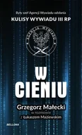 Audiobooki - historia - W cieniu. Kulisy wywiadu III RP - miniaturka - grafika 1