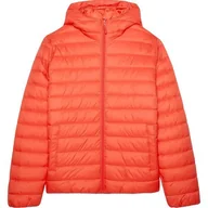 Kurtki i kamizelki sportowe męskie - Kurtka puchowa męska TDJAM484 4F - miniaturka - grafika 1