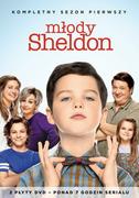 Seriale - Warner Bros Entertainment Młody Sheldon. Sezon 1 - miniaturka - grafika 1