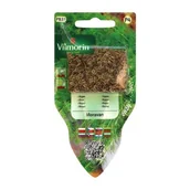 Nasiona i cebule - Koper ogrodowy Moravan 4 g Vilmorin Garden - miniaturka - grafika 1