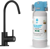 Uzdatniacze wody - System filtrujący Dafi FLOW COMFORT DC10 + kran ALTO czarny - miniaturka - grafika 1