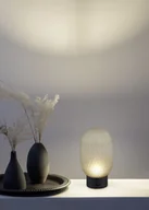 Lampy stojące - Trio FACETTE 564210115 lampa przenośna klosz szkło zielone LED 1,5W 3000K DIM ładowanie USB-C wykończenie czarne - miniaturka - grafika 1