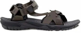 Sandały męskie Jack Wolfskin LAKEWOOD RIDE SANDAL M 4019021_5719 47 - Sandały męskie - miniaturka - grafika 1