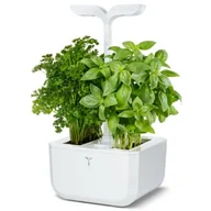 Akcesoria i części AGD - Véritable Doniczka VERITABLE Exky Classic VE-0083459 - miniaturka - grafika 1