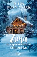 Literatura obyczajowa - Zima w zapomnianym schronisku - miniaturka - grafika 1