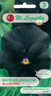 Nasiona Bratek Black King czarny 0.40g - W.Legutko - Nasiona i cebule - miniaturka - grafika 1