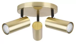 Candellux Lighting złote reflektorki na sufit z regulacją ustawienia COLLY 98-01726 złota lampa sufitowa spoty GU10 led ruchome tubki 98-01726 - Lampy sufitowe - miniaturka - grafika 1