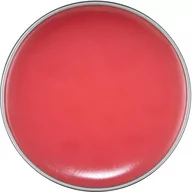 Balsamy do ust - NYX Professional Makeup NYX Professional Makeup - #THISISEVERYTHING LIP LOVING BALM - Balsam do ust NYXLBDUS - miniaturka - grafika 1