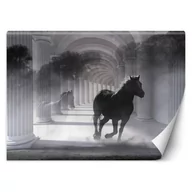 Fototapety - Fototapeta, Biegnący koń, efekt 3D (Rozmiar 368x254) - miniaturka - grafika 1