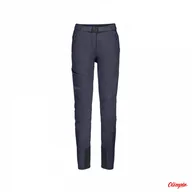 Spodnie damskie - Spodnie Damskie Softshellowe Jack Wolfskin Ziegspitz Pants - Graphite - miniaturka - grafika 1