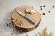 Noże kuchenne - Nóż uniwersalny, 12,5 cm BH-2826 - miniaturka - grafika 1