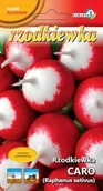 Nasiona i cebule - Rzodkiewka Caro 10g / L / - miniaturka - grafika 1