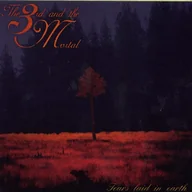 Metal, Punk - Third and the Mortal - Tears Laid In Earth - miniaturka - grafika 1
