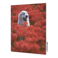 Parasole ogrodowe - Grzejnik na podczerwień z grafiką TF-SWT400P TERMOFOL - miniaturka - grafika 1