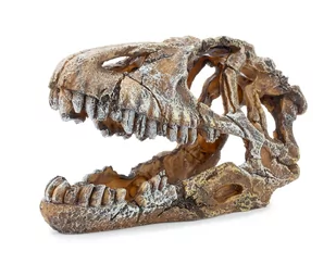 Ozdoba akwariowa Happet U714 czaszka dinozaura 17cm - Dekoracje do akwarium - miniaturka - grafika 1