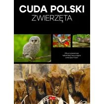 Cuda Polski. Zwierzęta - Albumy krajoznawcze - miniaturka - grafika 1