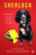 Felietony i reportaże - Sherlock Prawdziwa historia psiego strażaka Paul Osborne - miniaturka - grafika 1