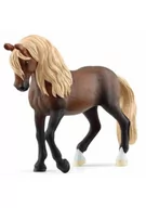 Albumy krajoznawcze - Ogier Rasy Paso Peruano - miniaturka - grafika 1