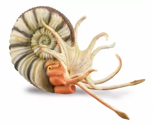 Collecta 88902 Amonit rozmiar: XL - Figurki dla dzieci - miniaturka - grafika 1