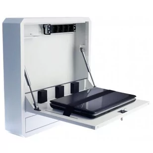 Szafka Przeciwkradzieżowa Techly do Laptopa 19" Biała - Części i akcesoria do laptopów - miniaturka - grafika 1