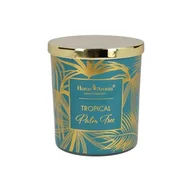 Świece - Świeca zapachowa Tropical Palm Tree - miniaturka - grafika 1