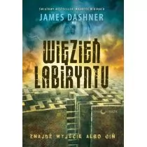 Papierowy Księżyc Więzień Labiryntu 9788361386469 - Powieści Papierowy Księżyc Więzień Labiryntu 9788361386469 - Powieści - miniaturka - grafika 1