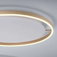 Lampy sufitowe - Paul Neuhaus Mosiężna lampa sufitowa 58 8 cm z 3-stopniową regulacją LED - Zlatan - miniaturka - grafika 1