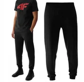 Spodnie męskie - Dresowe długie spodnie męskie 4F - miniaturka - grafika 1