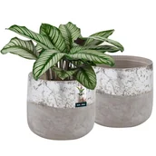 Donice - Doniczka ceramiczna nieszkliwiona na kwiaty rośliny 12 cm zestaw 2 szt. - Kolor szary - KOTARBAU - miniaturka - grafika 1