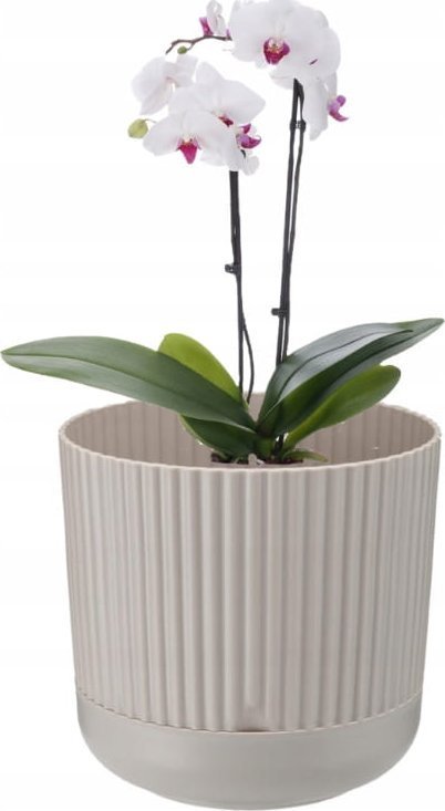 Galicja Doniczka dekoracyjna plastikowa z podstawką beżowa Nostalgia 17x18 cm