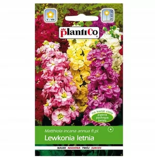 Plantico Lewkonia letnia mix - Nasiona i cebule - miniaturka - grafika 1