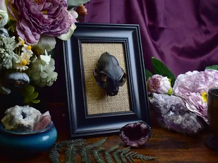 Gotycka ozdoba na ścianę - czaszka kota w czarnej ramce #1 - Dekoracje domu - miniaturka - grafika 1