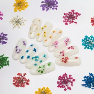 Mollylac Ozdoba Do Paznokci Suszone Kwiatki Orange - Ozdoby do paznokci - miniaturka - grafika 3