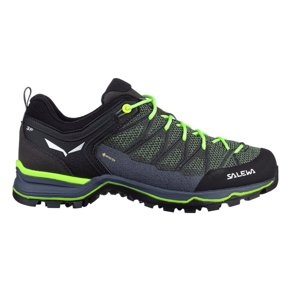 Męskie buty outdoorowe Salewa MS MTN Trainer Lite GTX Myrtle/Ombre Blue UK 11,5