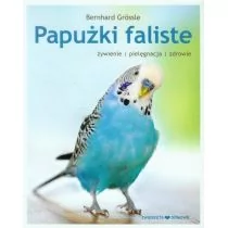 Papużki faliste. Hodowla