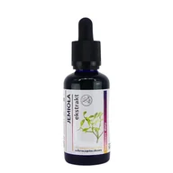 Witaminy i minerały - JEMIOŁA WYCIĄG MIKROCZĄSTECZKOWY, ORGANIS - miniaturka - grafika 1