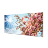 Dekoracje domu - Szklany panel + klej Magnolia niebo słońce 120x60 - miniaturka - grafika 1