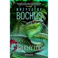 Kryminały - Kruchy lód - miniaturka - grafika 1