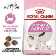 Sucha karma dla kotów - Royal Canin Babycat 34 2 kg - miniaturka - grafika 1