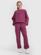 Spodnie i spodenki dla dziewczynek - 4F Spodnie dresowe joggery dziewczęce - fioletowe 164 (13-14 lat) - miniaturka - grafika 1