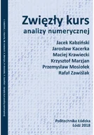 Matematyka - Zwięzły kurs analizy numerycznej - miniaturka - grafika 1